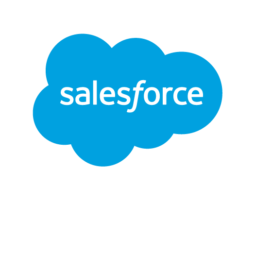 Salesforce Partner badge