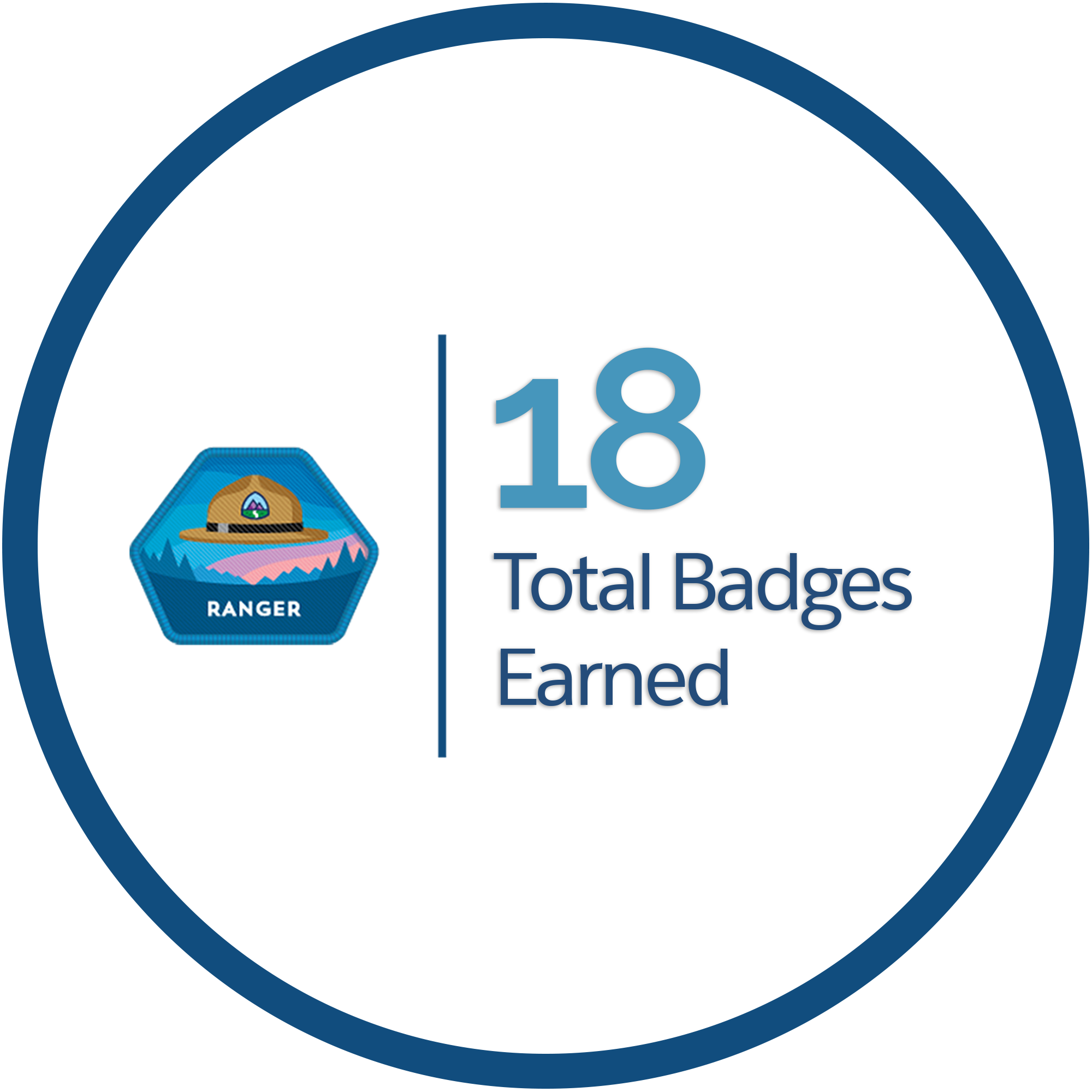 Graphic that shows 18 trailhead badges earned