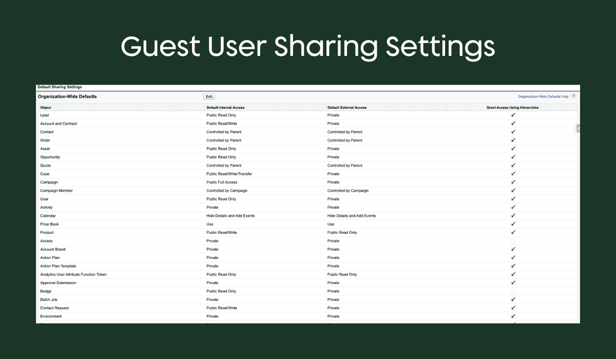 Salesforce guest user sharing settings screen with external access controls