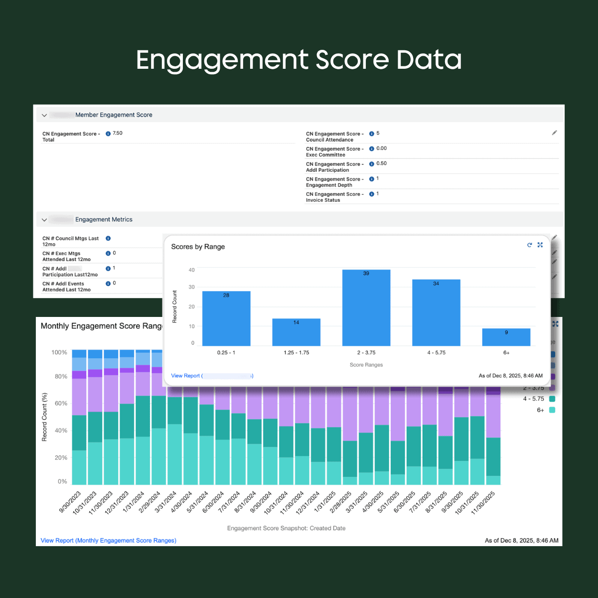 Nonprofit engagement scoring data showing participation points, categories, and scoring trends