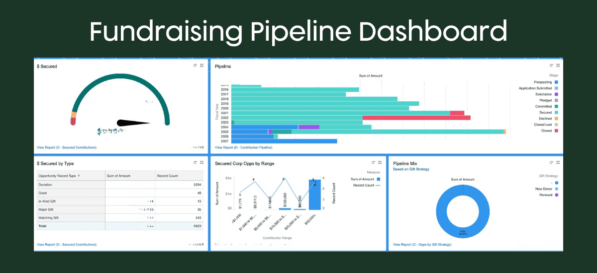 Salesforce nonprofit fundraising dashboard showing donation pipeline and revenue by category