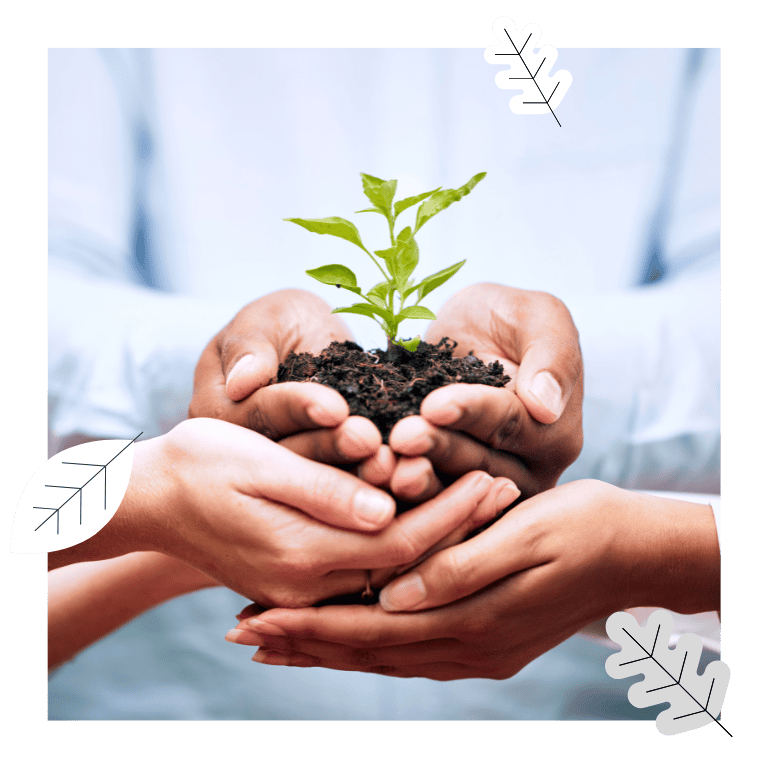 Multiple hands clasping a plant seedling with overlay of leaf graphics.
